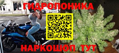 2c-b Будённовск